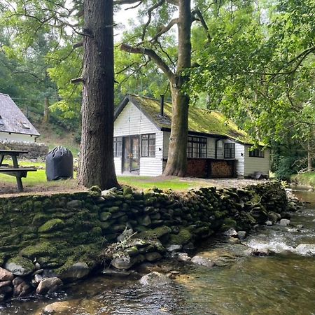 Eglwys-Fach Cuckoo Cabin, Tyn Y Cwm מראה חיצוני תמונה